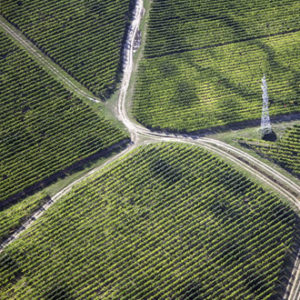 mapeamentos-areas-cultivos